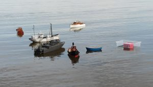 Modellbåtar från båtsektionens träffar