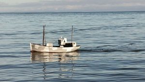 Modellbåtar från båtsektionens träffar